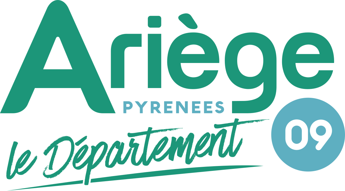 Partenaire 1